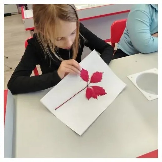 Что такое гербарий?/На занятии кружка &amp;quot;Живая природа/Будни центра ТОЧКА РОСТА.