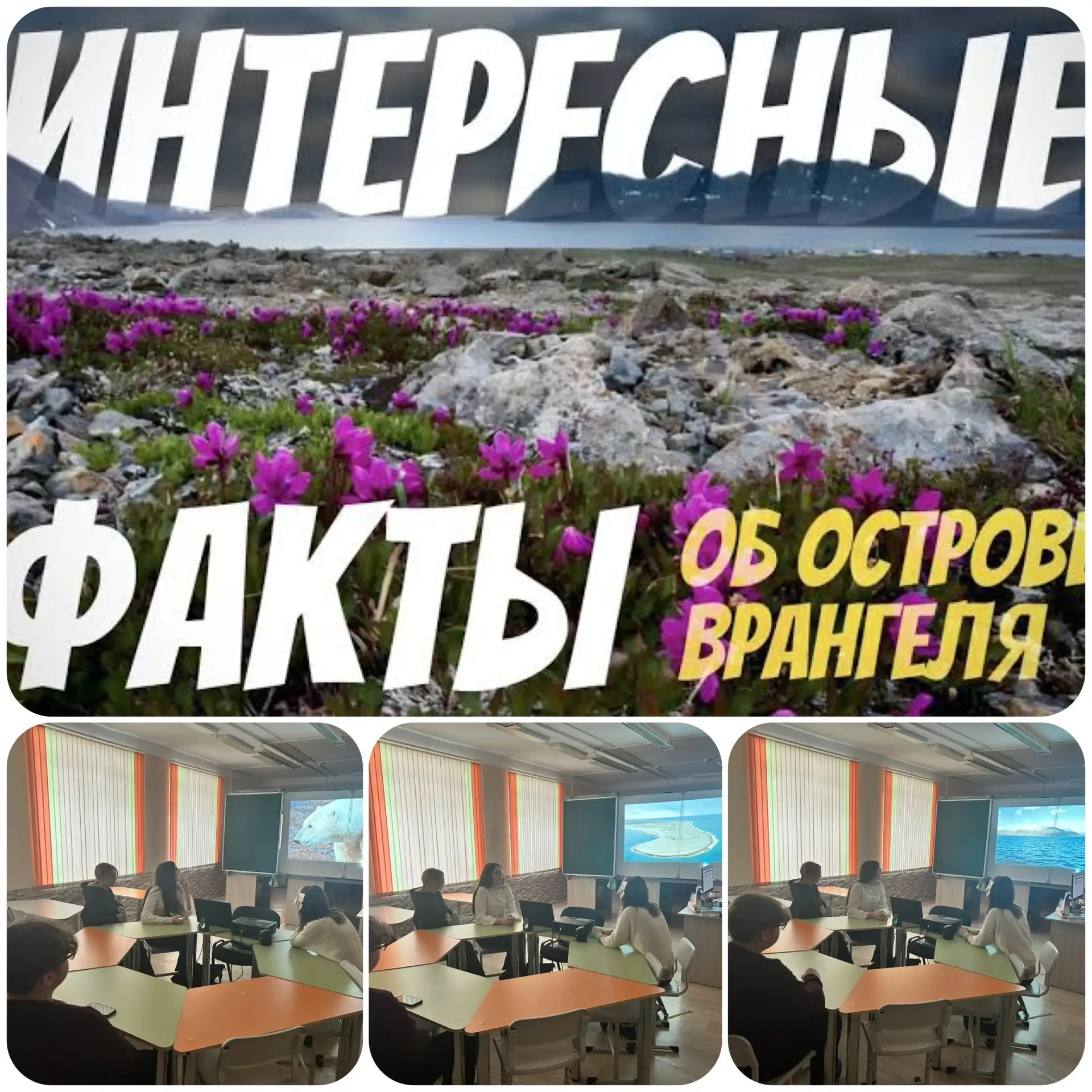 Путешественник/Будни центра ТОЧКА РОСТА.