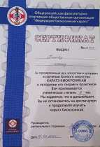 Спортивные достижения обучающихся.