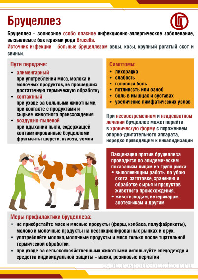Внимание-бруцеллез!.