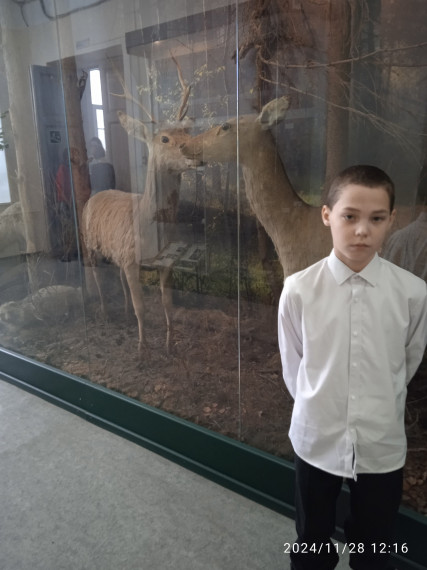 Региональный этап Всероссийского конкурса юных исследователей окружающей среды  им.Б.В.Всесвятского.