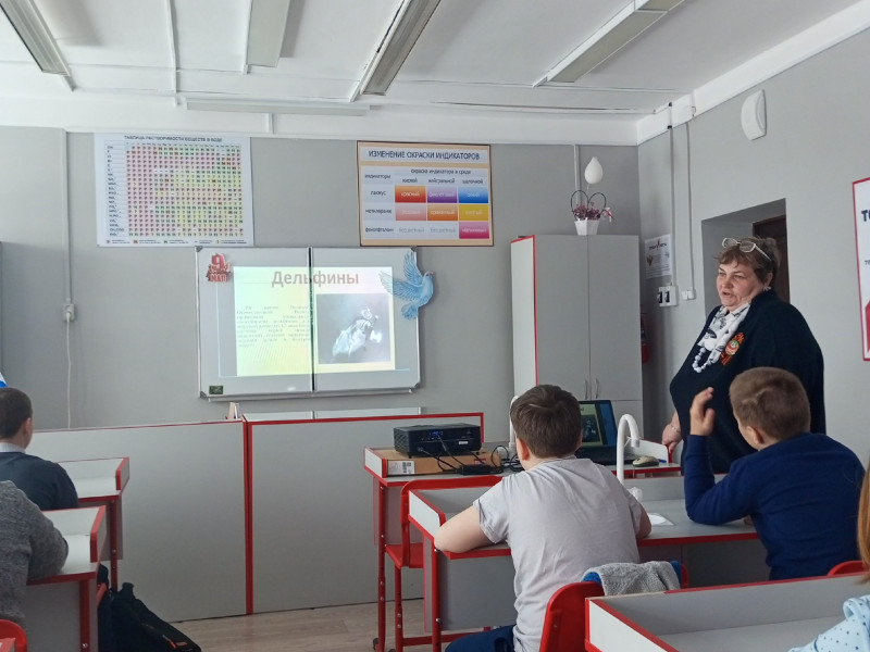 Животные на войне/классный час в 5 классе/.